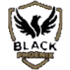 Black Phoenix
